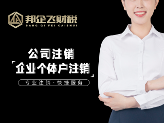罗甸分公司注册